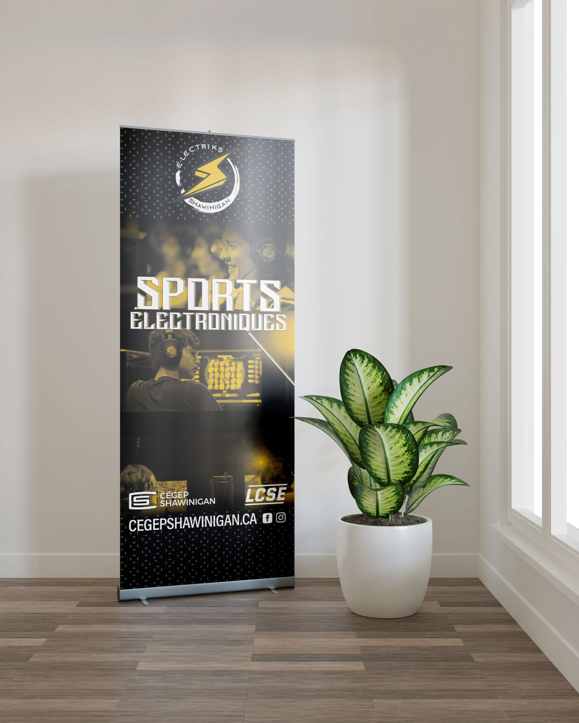 TOZIYO Lot De 30 Arqueurs Effaçables à Sec Ultra Fins (avec Pointe